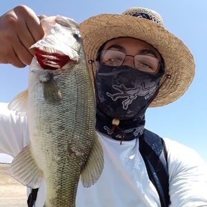 Meet your Posher, Roman